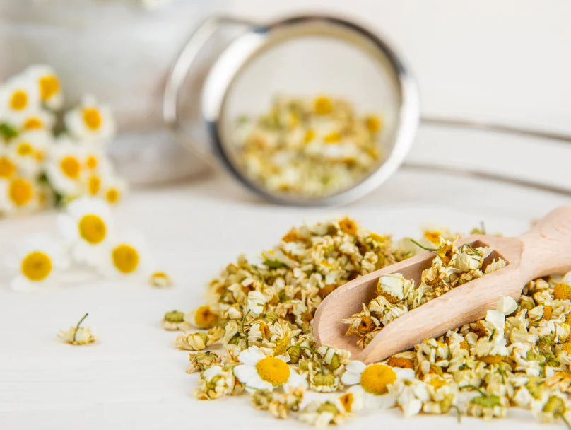 Discover-the-Multiple-Benefits-of-Chamomile Karin Herzog